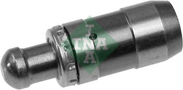 420002710 INA
