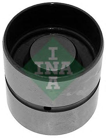 420004610 INA