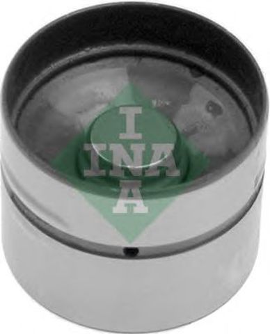 420004710 INA