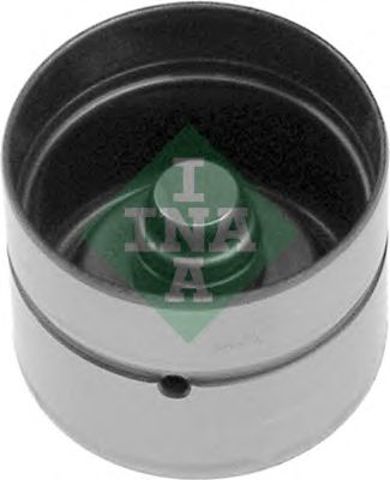 420006110 INA