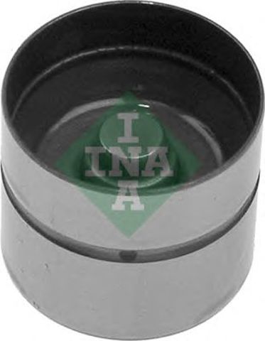 420006210 INA