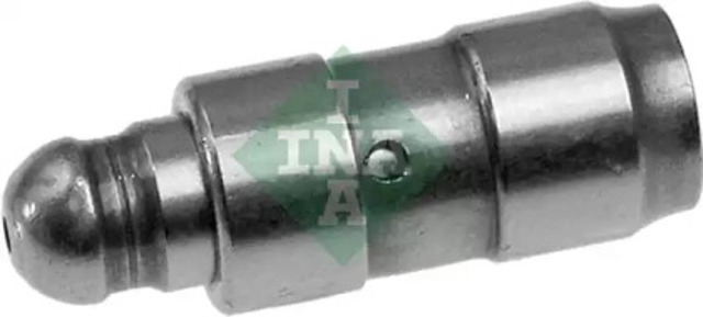 420009010 INA