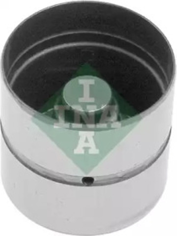 420010610 INA