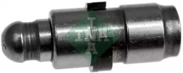 420019510 INA