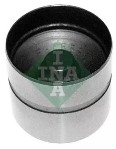 420021010 INA