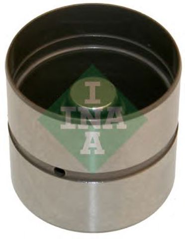 420022010 INA