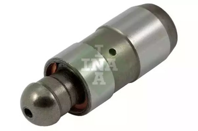 420024310 INA