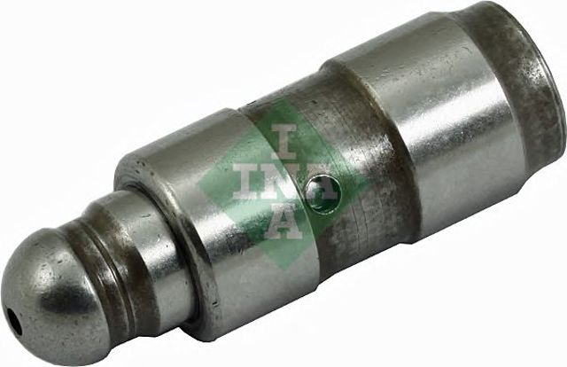 420025410 INA