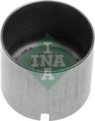 421001210 INA
