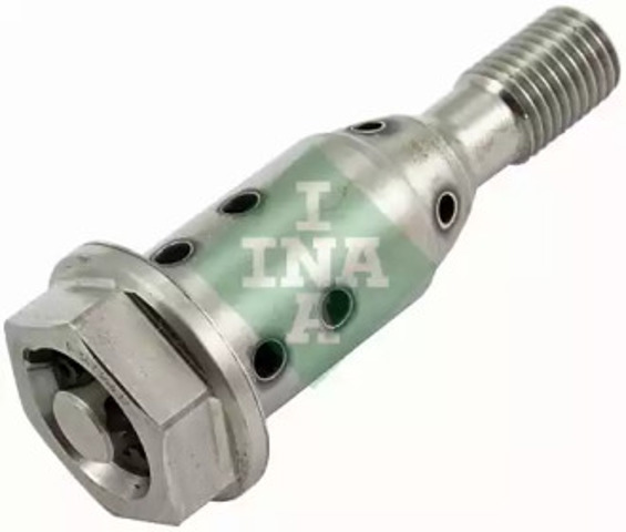 427001910 INA