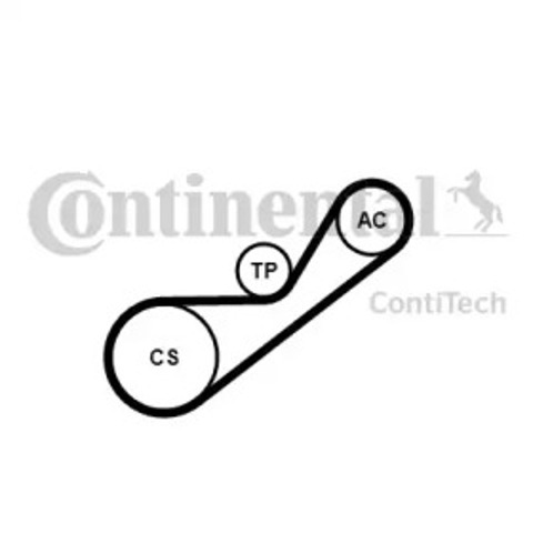 Pasek napędowy mechanizmów, zestaw 4PK925K1 Continental/Siemens