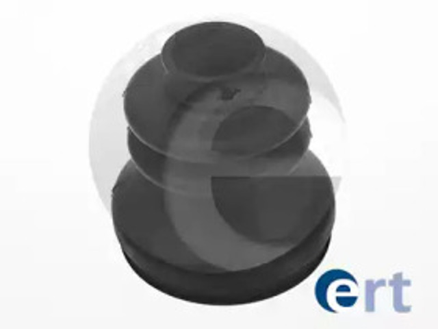 500006 ERT