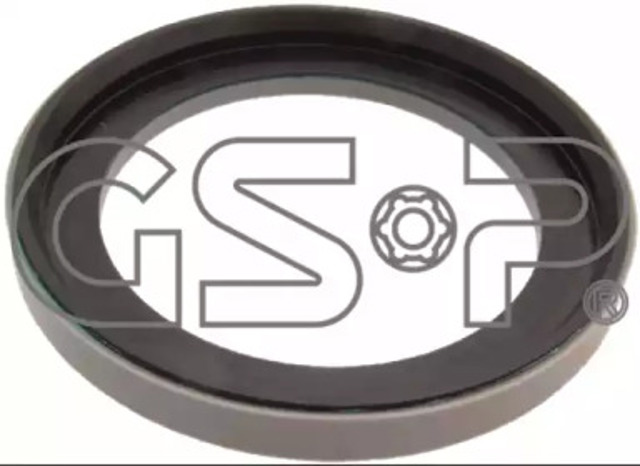 518987 GSP