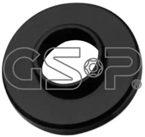 518991 GSP