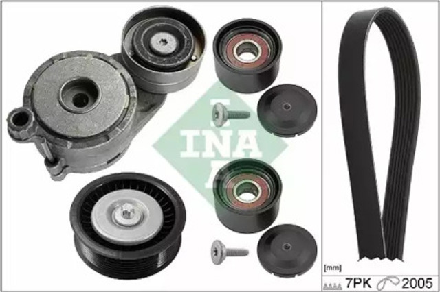 529017110 INA