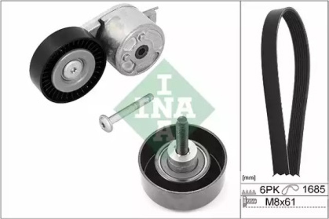 529021810 INA