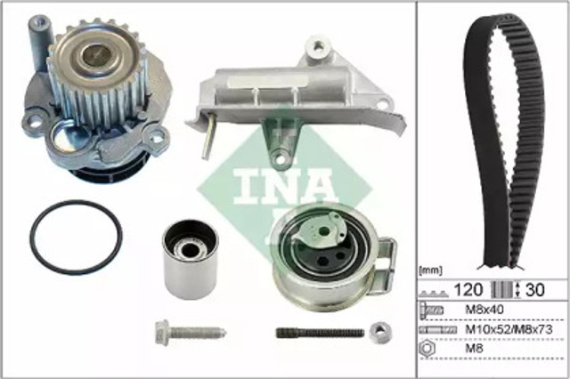 530017730 INA