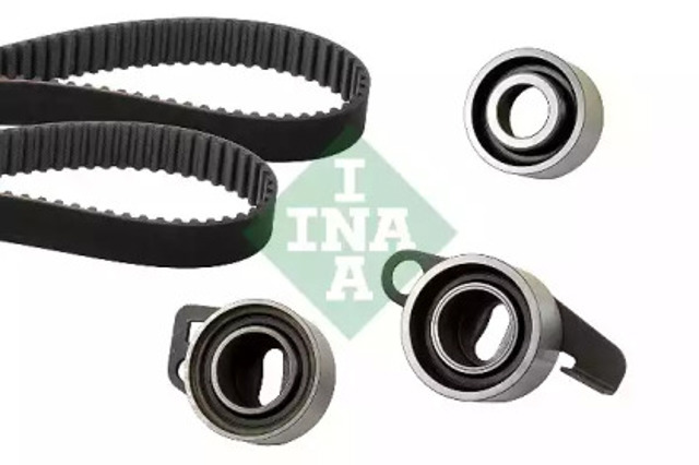530058110 INA