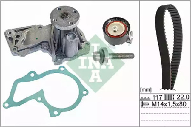 530060530 INA