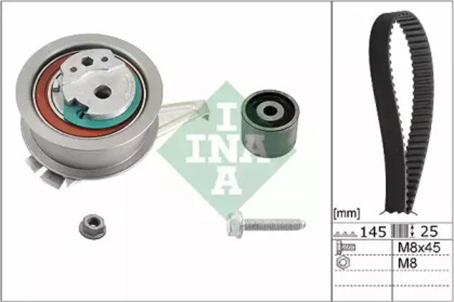 530066510 INA