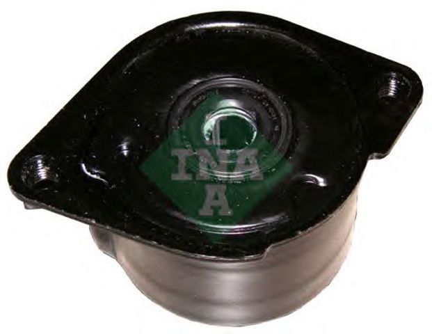 534017010 INA
