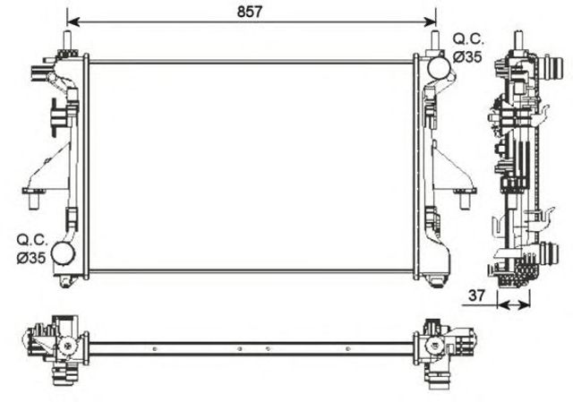 54202 NRF
