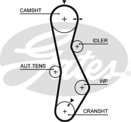 Pasek rozrządu 5579XS GATES