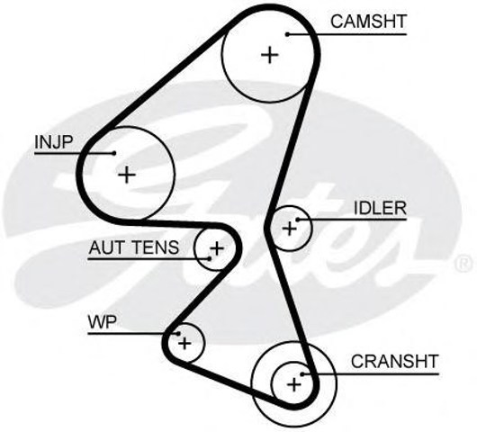 Pasek rozrządu 5656XS GATES