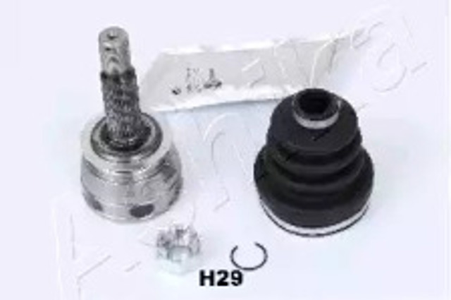 620HH29 Ashika