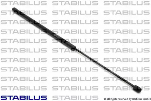 6253QS Stabilus