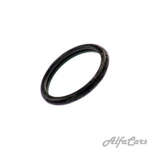 Uszczelka termostatu Ford Escort 5 GAL