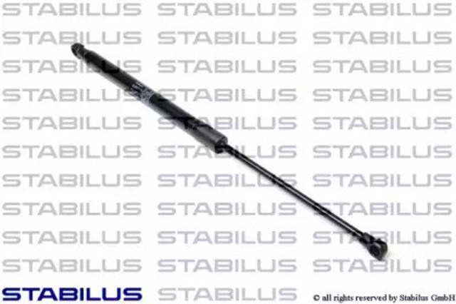 713210 Stabilus