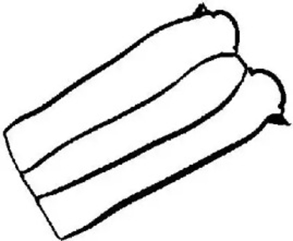 Uszczelka pokrywy zaworowej silnika 713384600 VICTOR REINZ