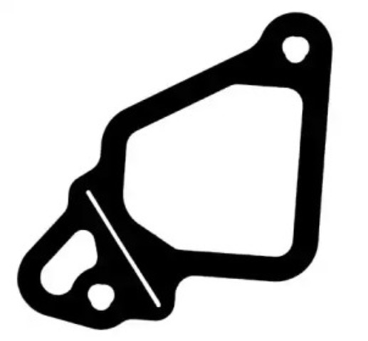 MAN TGL (2004-2026)
