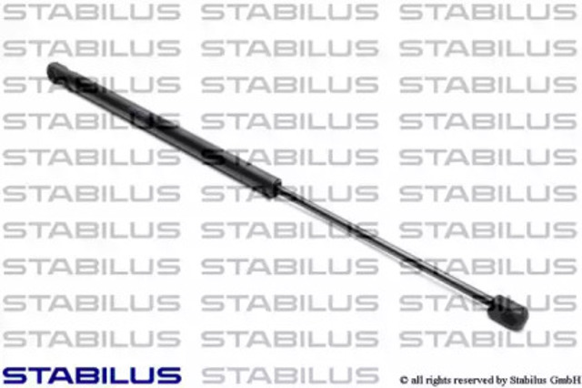 7656WY Stabilus