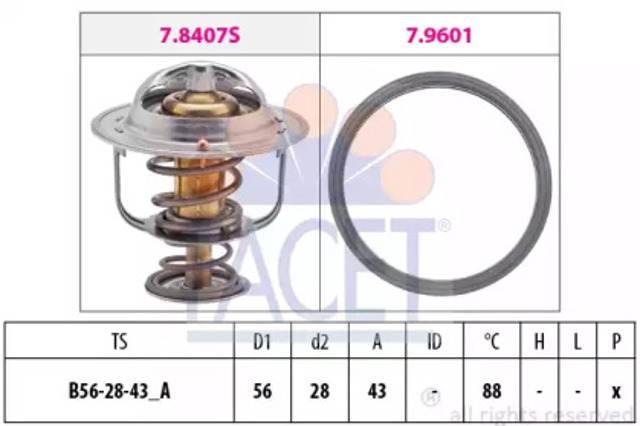 78408 Facet