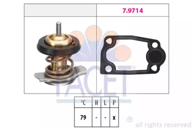 78942 Facet