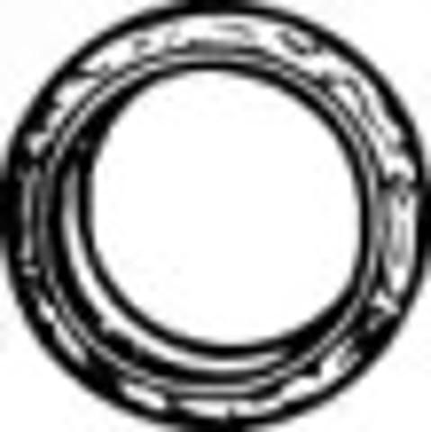 Uszczelka rury odbiornika tłumika 80026 WALKER