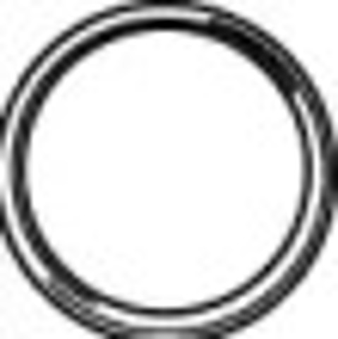 Uszczelka rury odbiornika tłumika 80158 WALKER