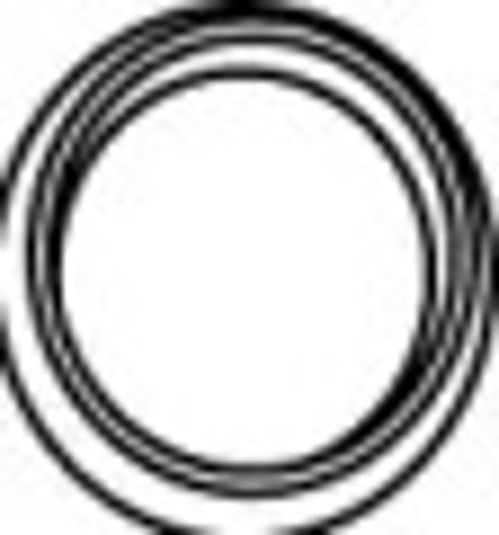 Uszczelka rury odbiornika tłumika 80410 WALKER