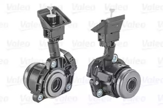 810009 VALEO