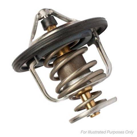 Termostat 8200772985 RENAULT