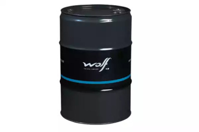 8313066 Wolf