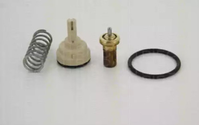 Termostat 862040080 TRISCAN