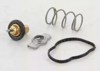 Termostat 862045383 TRISCAN