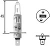 Żarówka halogenowa 8GH002089131 HELLA