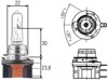 Żarówka halogenowa 8GJ168119001 HELLA