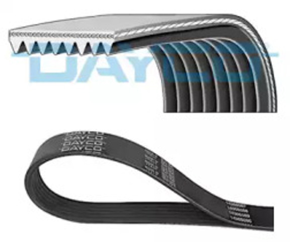 8PK2043HD Dayco