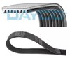 Pas napędowy mechanizmów 8PK2482HD DAYCO