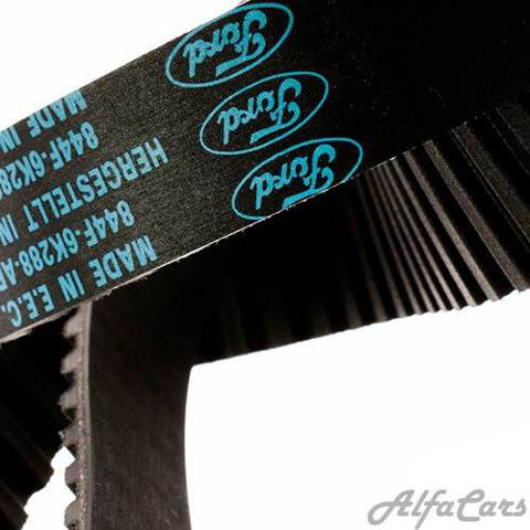 94436 Dayco